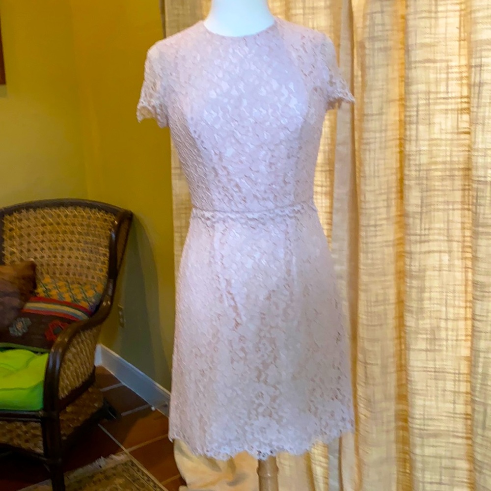 Shoshanna Sz 6 Lace Sheath